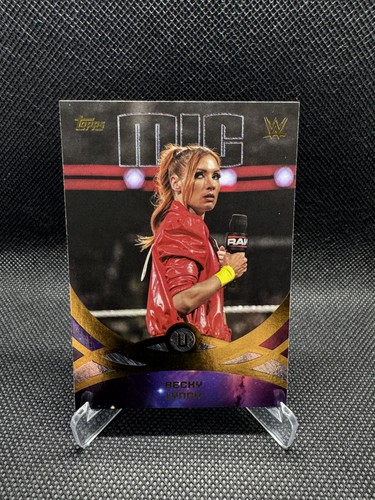 Becky lynch peak performance - lynch,