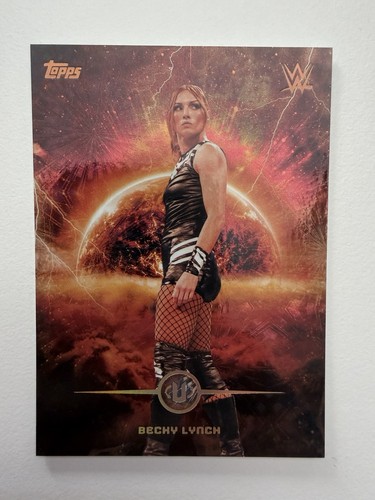 Becky lynch flashpoint casehit - becky,